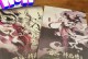 西游释厄传技能攻略（练就神技，化身释厄师，西天之路再无敌！）