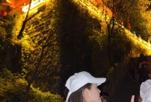 辐射2攻略电子版（详细攻略、技巧、地图与故事背景一应俱全！）