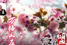 繁花吹雪出装攻略（聚焦精彩的游戏体验，助你打造无敌阵容）