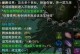 诛仙法宝怎么升到36级,轻松迈向36级巅峰之路