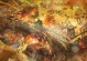 三国降临游戏攻略（打造最强势力，称霸三国！）