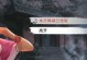 《我的侠客》游戏炖鸽子攻略（如何在游戏中获取鸽子并进行炖鸽子料理）