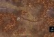 《魔兽世界》怀旧服攻略（在塔纳利斯完美完成账本任务的秘诀）