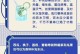 炽热之剑后羿出装顺序攻略（高爆发输出，如何选择合适的装备？）