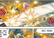 《斗破苍穹医师技能搭配攻略》（掌握正确的技能组合，成为无敌的医师）