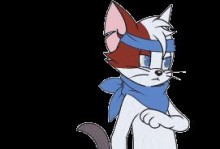 猫鼠人物技能加点攻略（玩转猫鼠人物技能，提升战斗实力，让你成为游戏中的顶级玩家！）