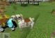 我的世界什么坐骑最快,揭秘Minecraft中最快的坐骑